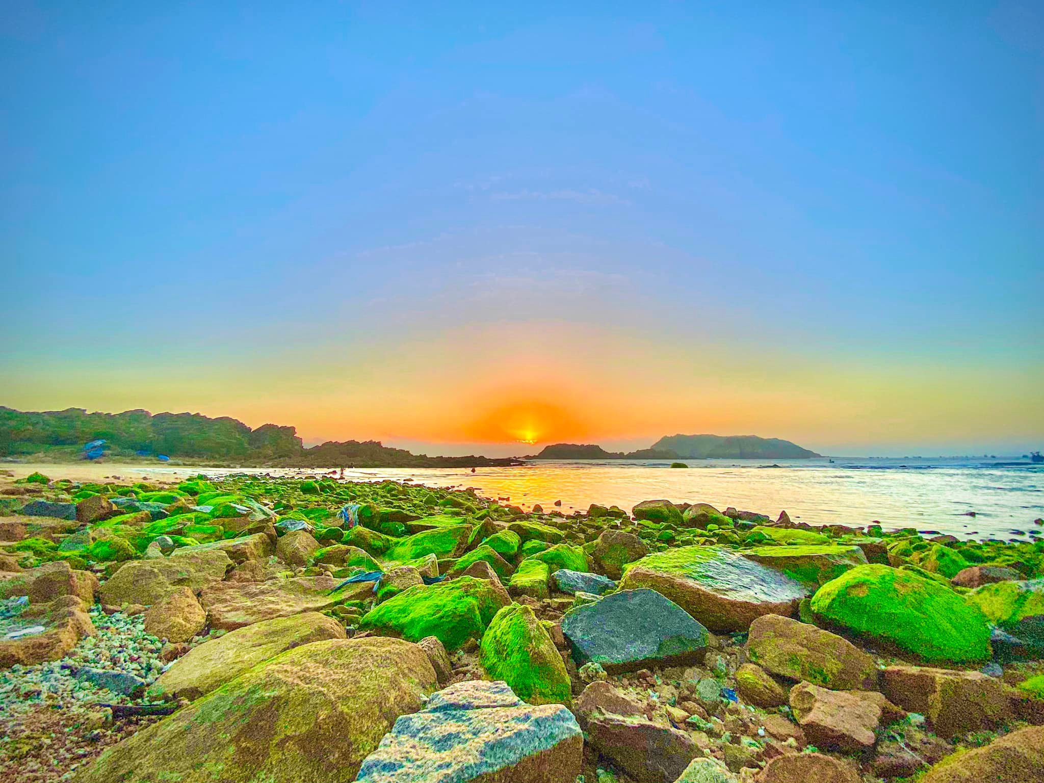 da-reu-nhon-hai