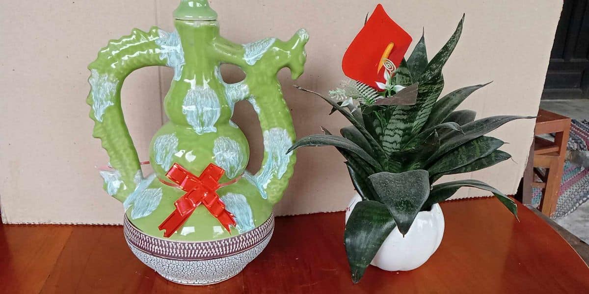 Ruou-bau-da-dau-xanh